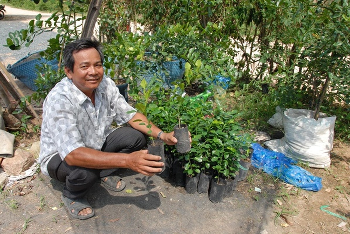 Trong thu tuong da bien mat o Viet Nam, nhan tenh ma 