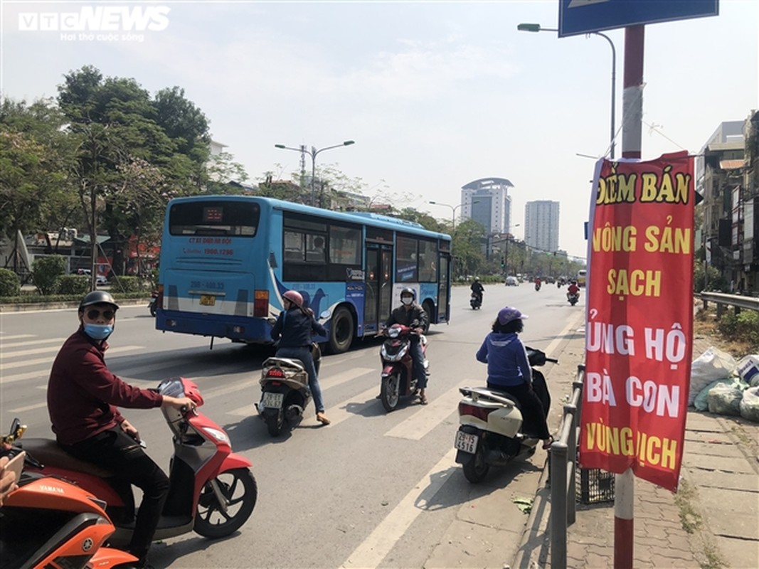 Anh: 15 tan rau cu cua nong dan Hai Duong het veo sau vai tieng 'giai cuu'-Hinh-6