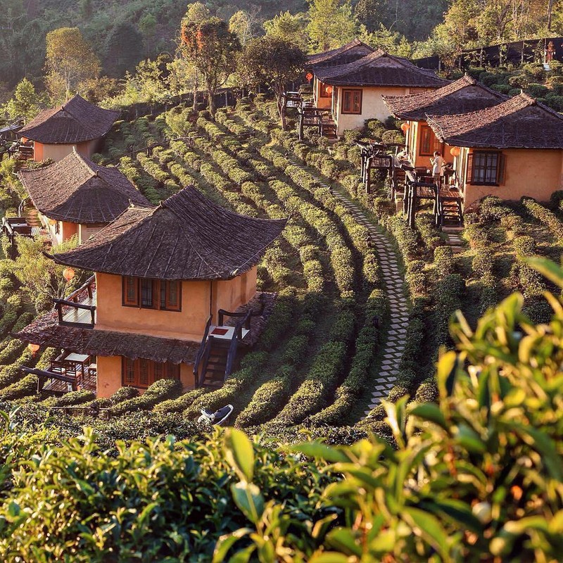 Lac loi ngoi lang menh danh “Phuong Hoang Co tran” o Thai Lan-Hinh-3