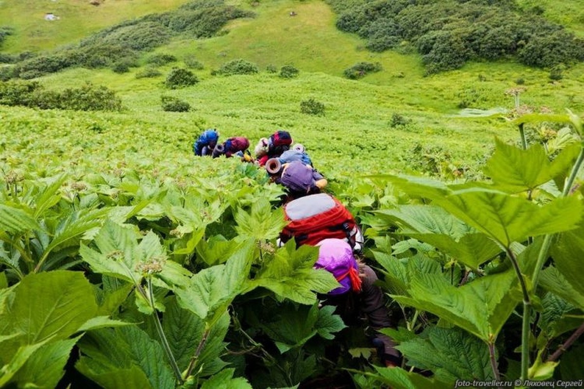 Ky la vung dat trong cay coi khong lo kho tin o Nga-Hinh-8