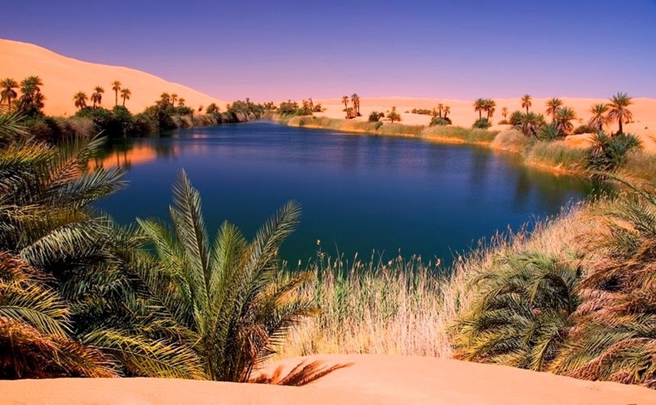 View - 	Mát mắt trước loạt ốc đảo xanh tuyệt đẹp giữa sa mạc 