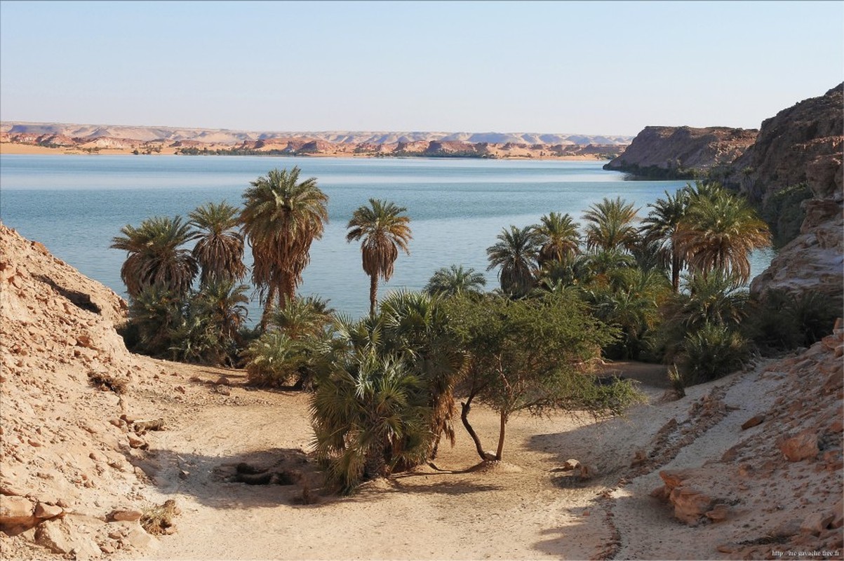 View - 	Mát mắt trước loạt ốc đảo xanh tuyệt đẹp giữa sa mạc 