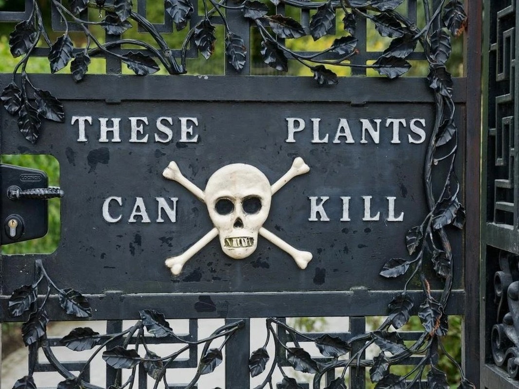 View - 	Đột nhập khu vườn chết chóc nguy hiểm nhất thế giới