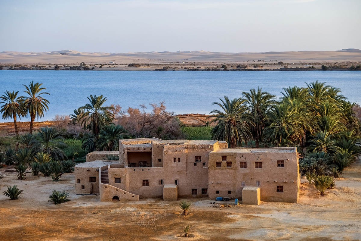 View - 	Choáng ngợp ốc đảo xanh giữa lòng sa mạc Sahara