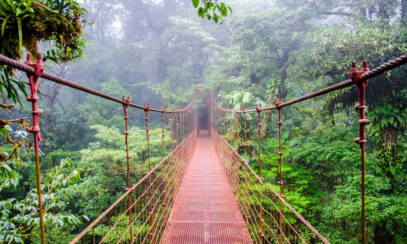 View - 	Ghé thăm loạt khu rừng đẹp nhất thế giới hút hồn du khách