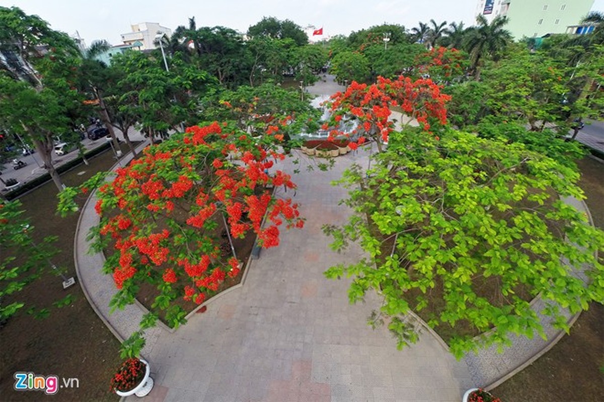 Ngam nhin ve dep Hai Phong tu tren khong-Hinh-3