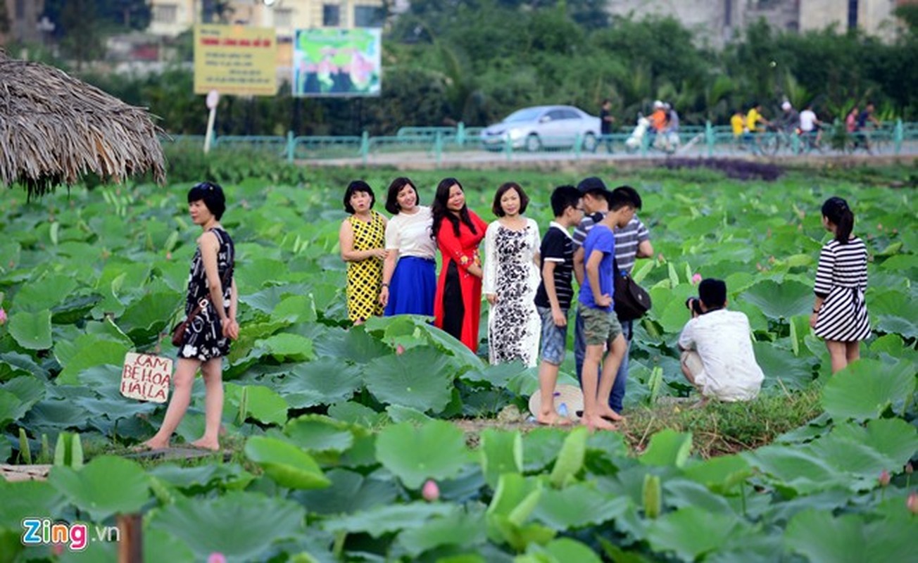 Thieu nu Ha thanh dien vay, yem chup anh voi sen-Hinh-9