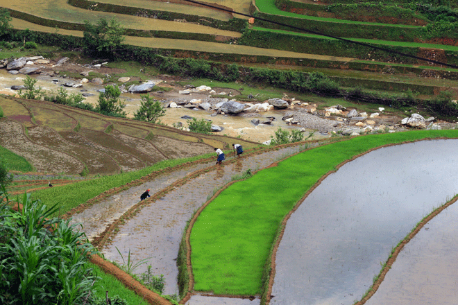 Kham pha Mu Cang Chai tuyet dep mua nuoc do-Hinh-3