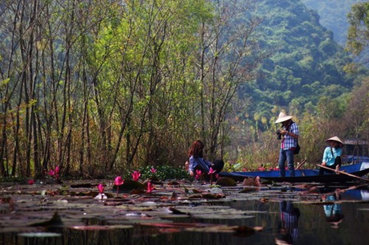 Phuot chua Huong san hoa sung no hong ruc tren suoi Yen-Hinh-11