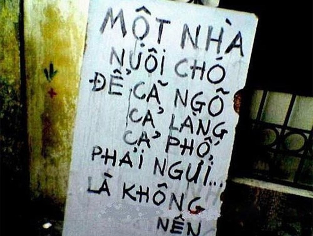 Tham hoa dich thuat-Hinh-10