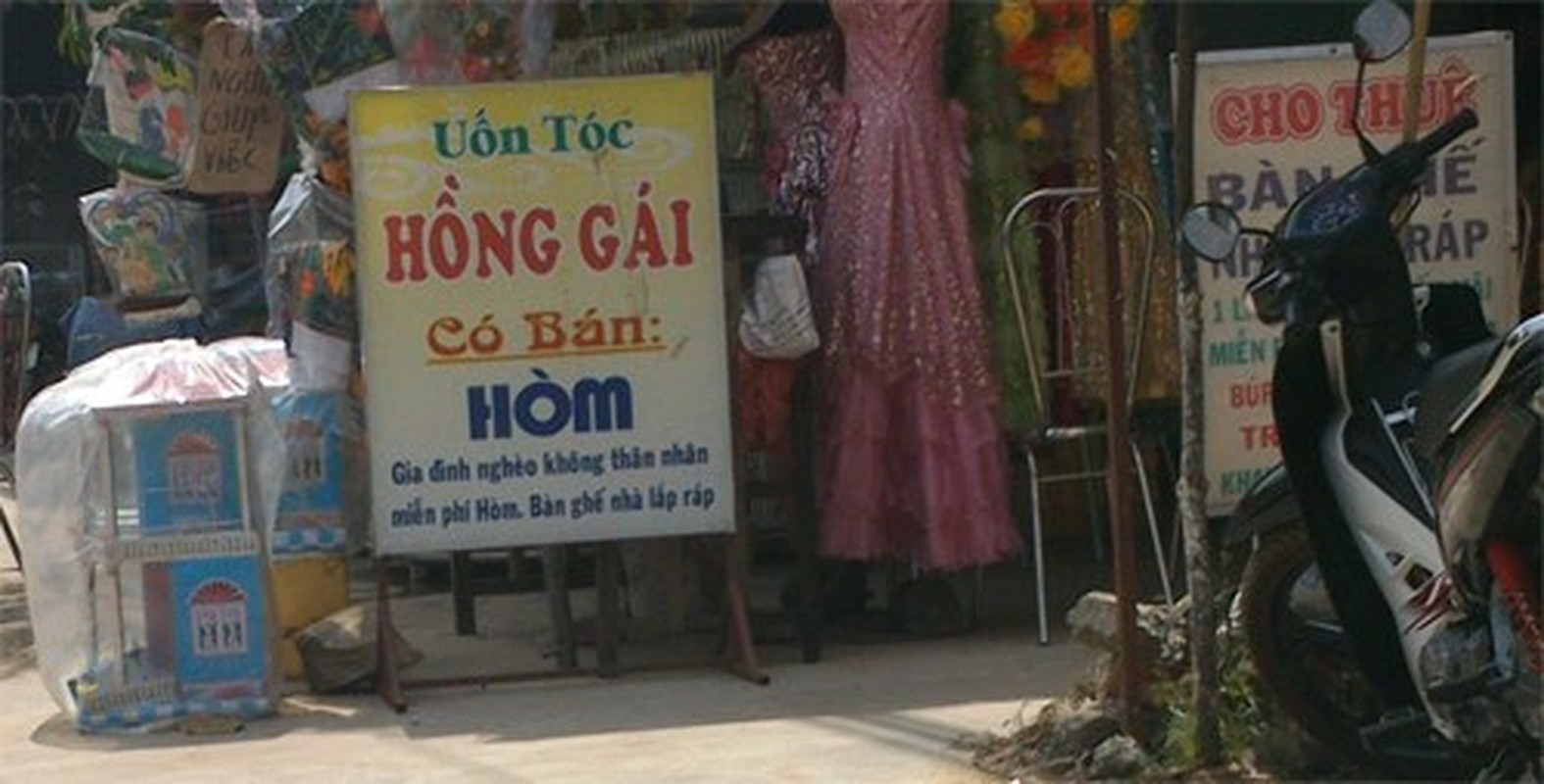 Tham hoa dich thuat-Hinh-2