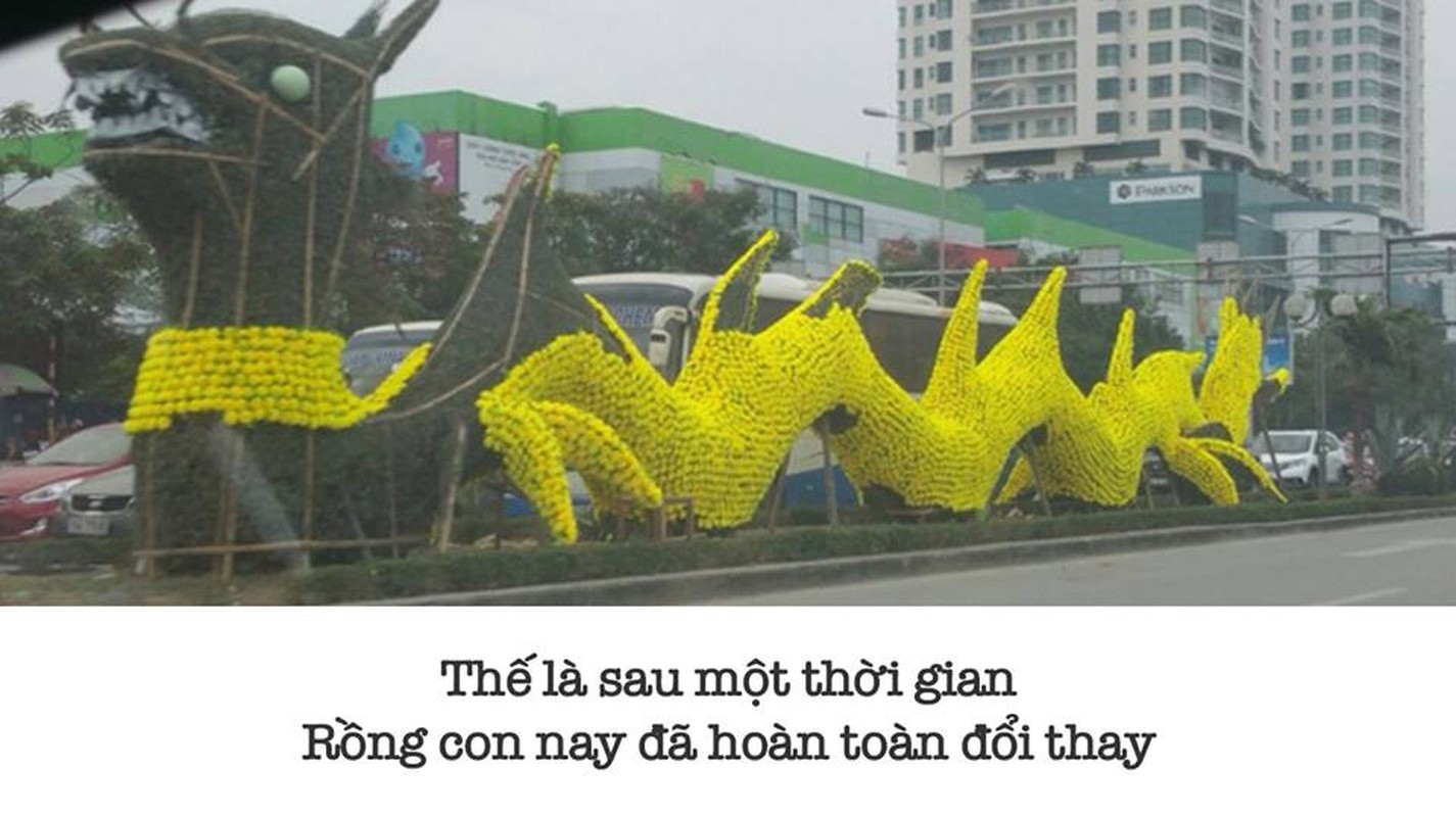 Cuoi nga nghieng voi tho, anh che ve con rong Hai Phong-Hinh-8