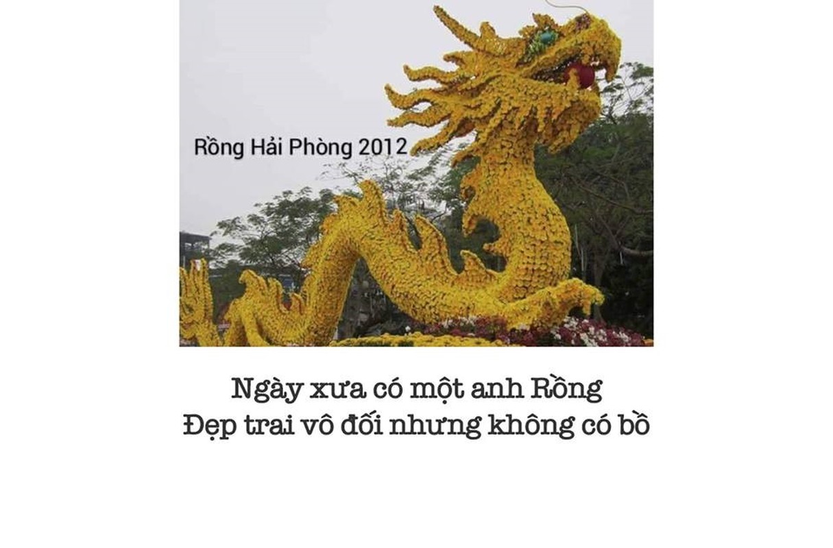 Cuoi nga nghieng voi tho, anh che ve con rong Hai Phong