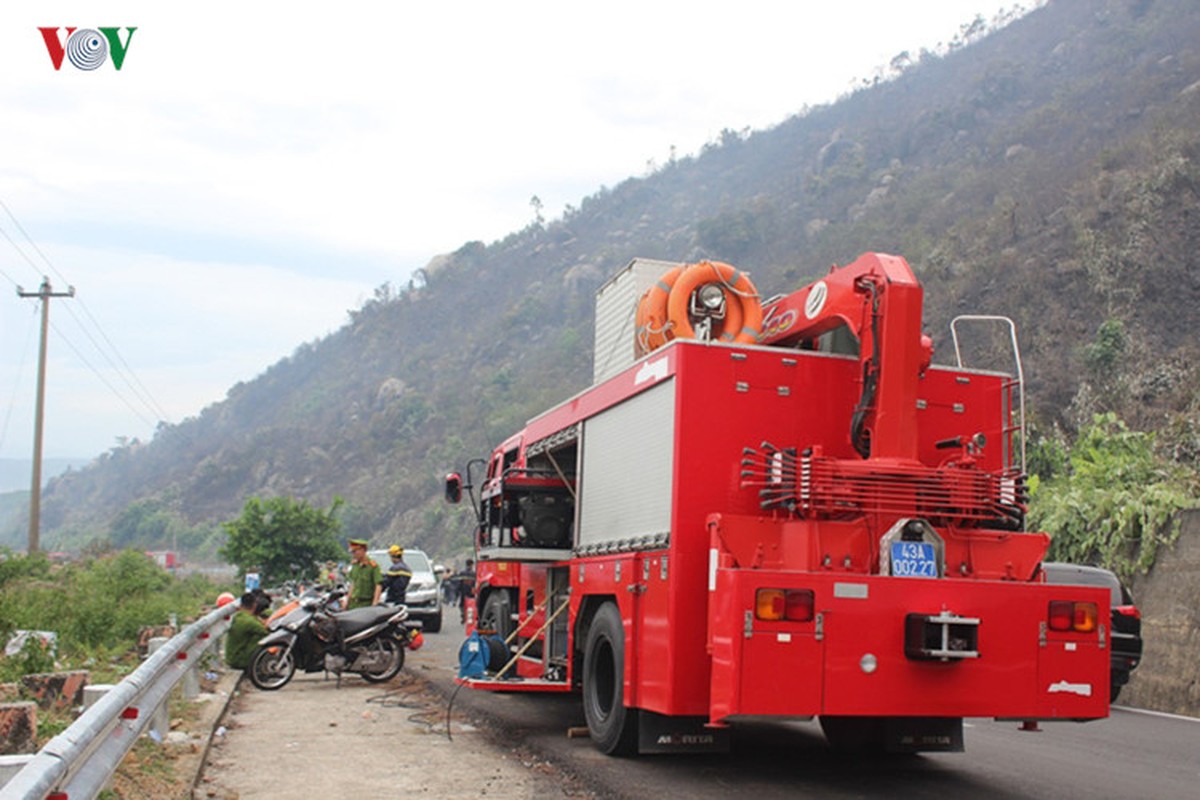 Da Nang: Chay lon tai rung dac dung Nam Hai Van-Hinh-7