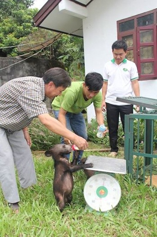 Xot xa cuoc song dia nguc cua hai chi em gau nau-Hinh-9