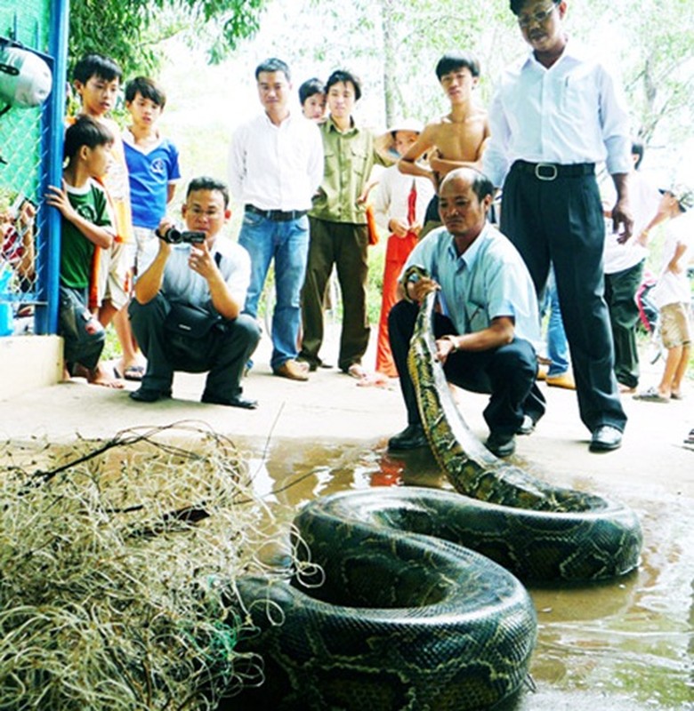 Nhung vu bat duoc tran khong lo chan dong o Viet Nam-Hinh-8