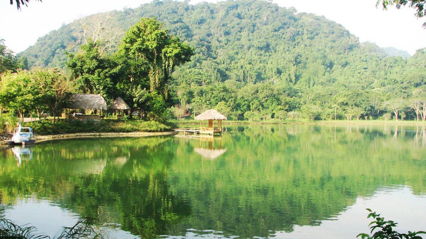 Rung Cuc Phuong dung top 3 thien duong cho nguoi me dong vat