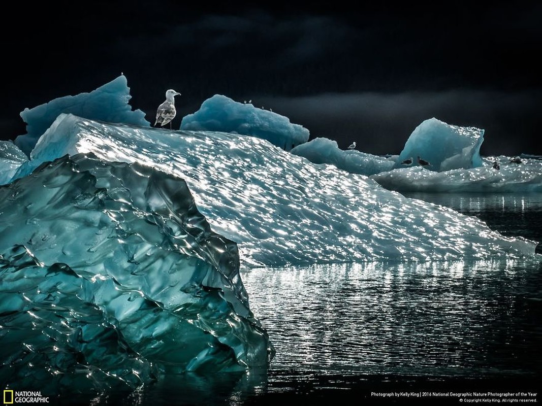 Loat anh thien nhien moi nhat, dep ngat ngay cua National Geographic-Hinh-7