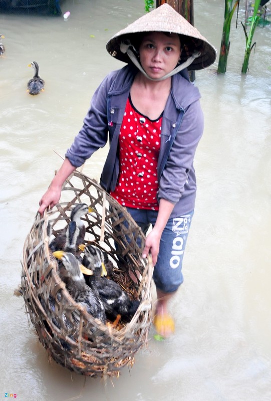 Hang nghin nha dan Quang Ngai ngap sau trong lu-Hinh-6