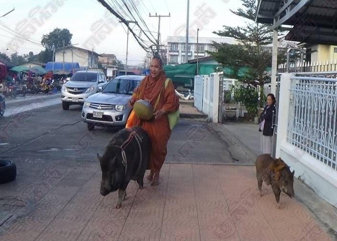 Ky la nha su khat thuc cung voi hai de tu lon rung-Hinh-2