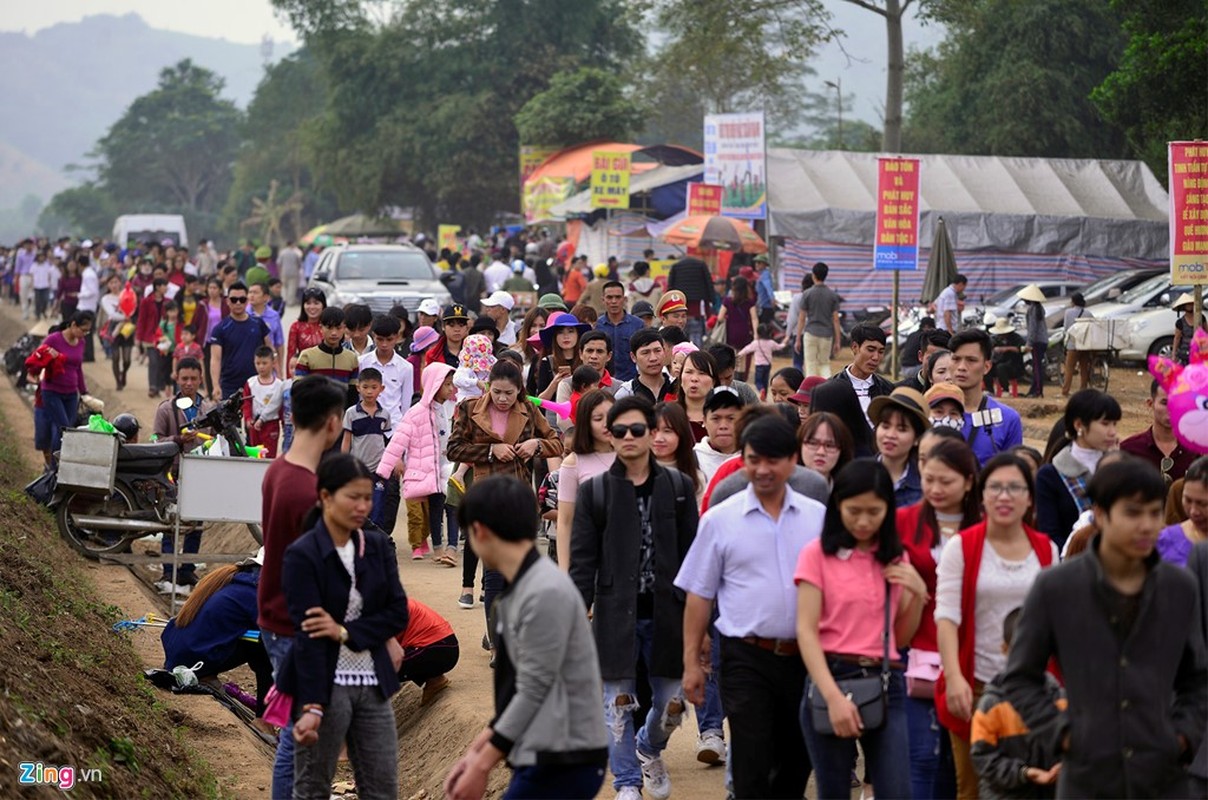 Hinh anh khong dep tai ngay khai hoi hoa huong duong-Hinh-3