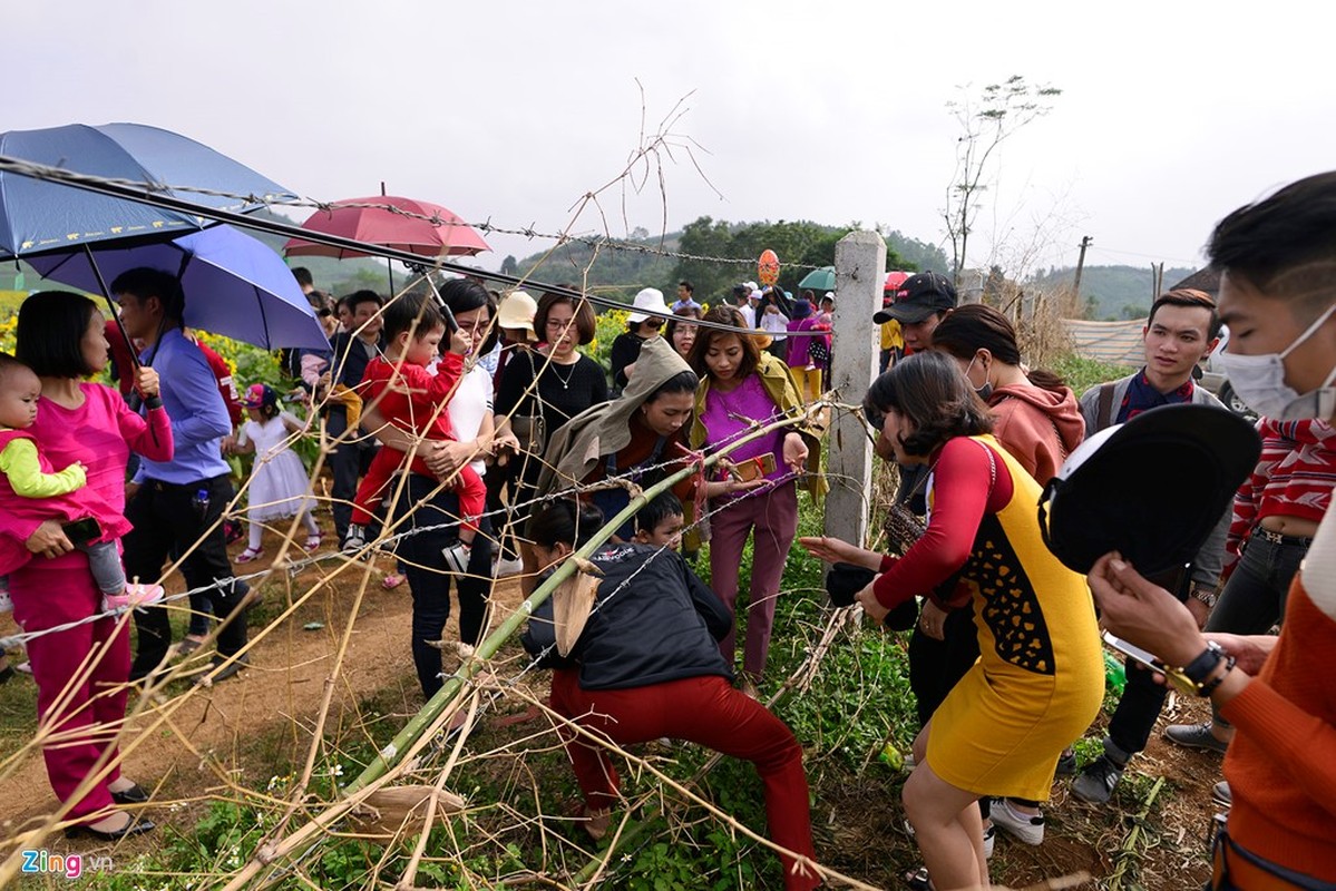 Hinh anh khong dep tai ngay khai hoi hoa huong duong-Hinh-4