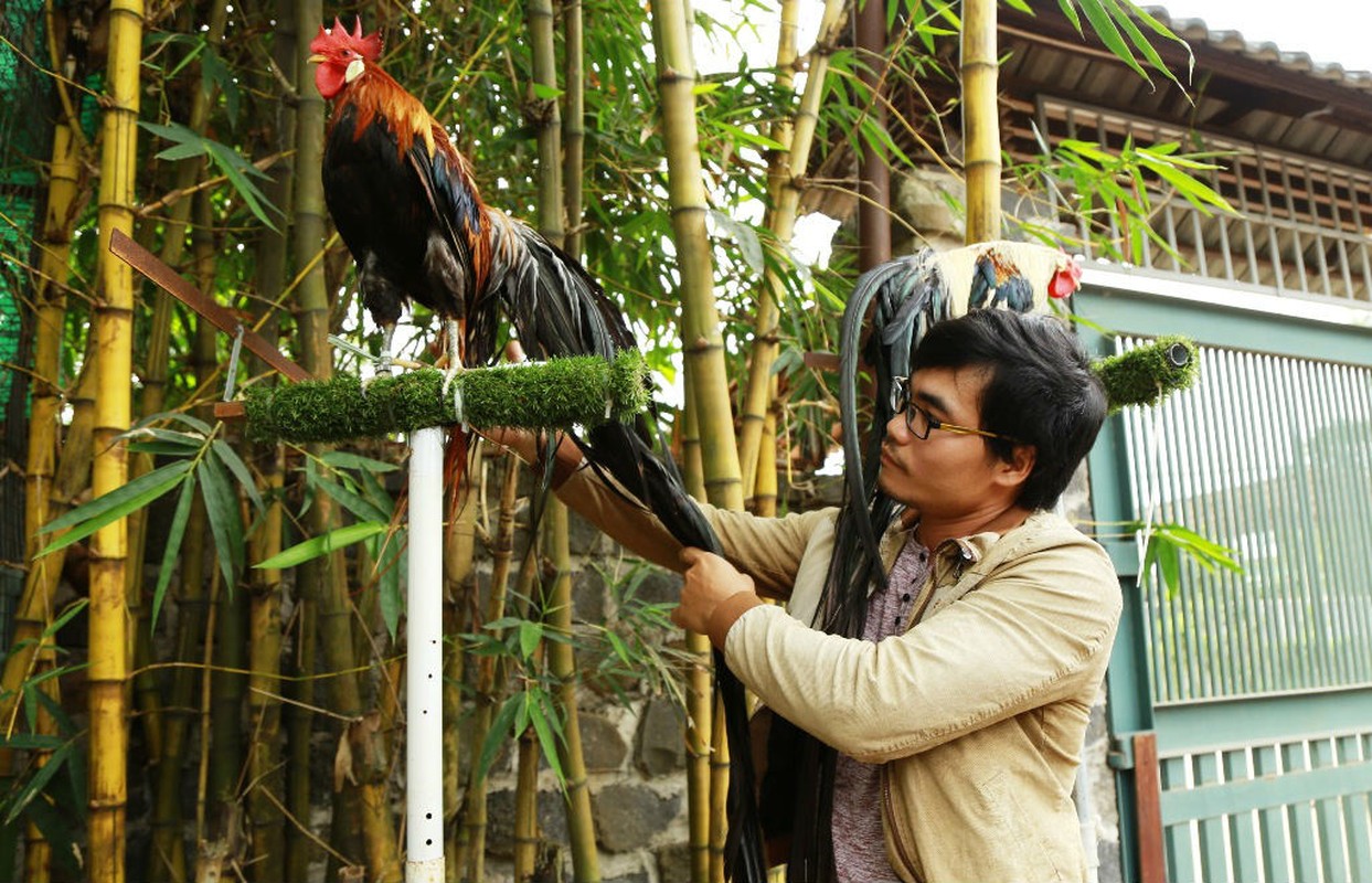 Choang vang nha giau Viet “quang tien'' choi ngong don Tet-Hinh-2