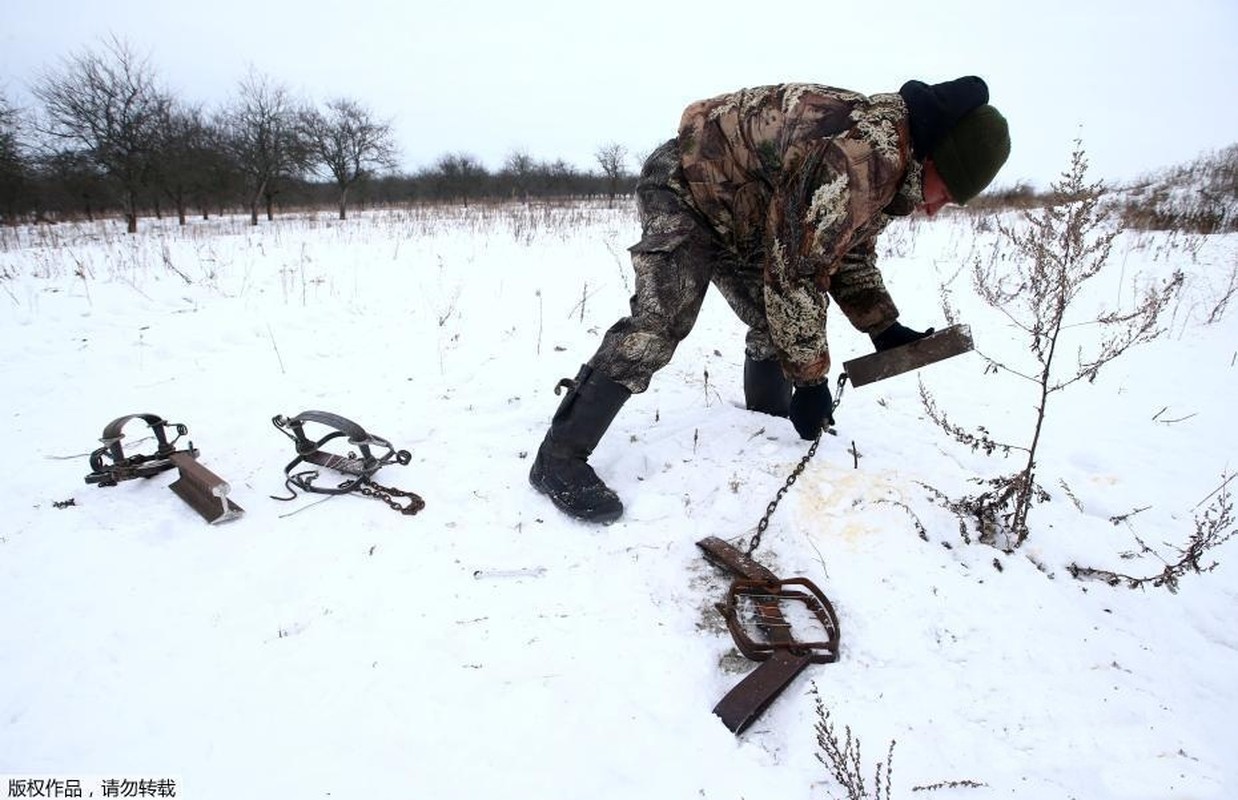 Ghe ron canh bat giet soi o khu vuc hoang da o Ukraina-Hinh-4