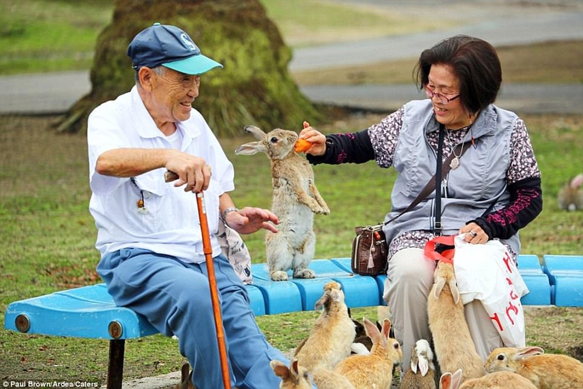 Ky la nhung noi dong vat &quot;dong do&quot;, tao &quot;thuong hieu&quot; rieng-Hinh-4