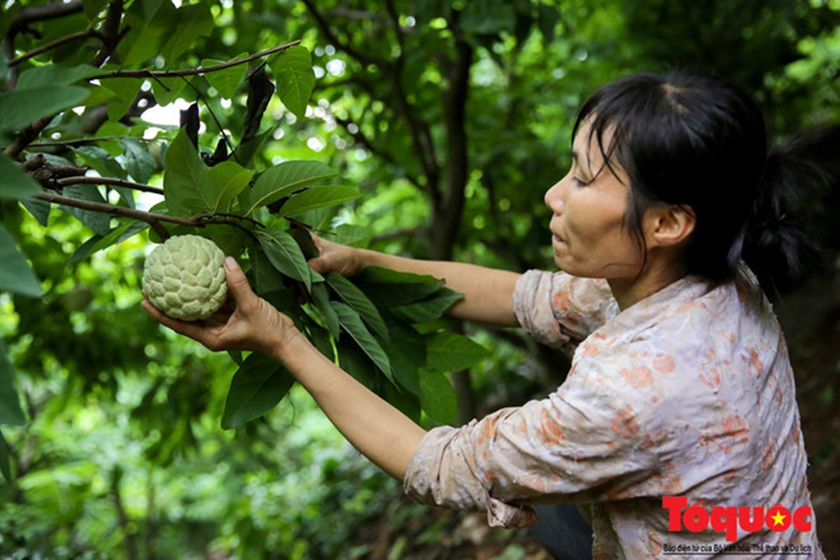 Na xu Lang “bay veo” tu tren nui cao xuong nhu trong phim-Hinh-9