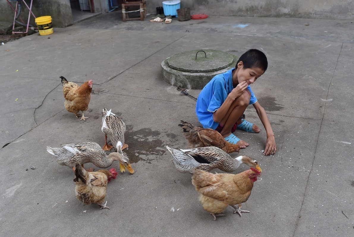 Chuyen la hom nay: Cau be bi nuoi nhu nuoi ga ai cung xot xa-Hinh-6