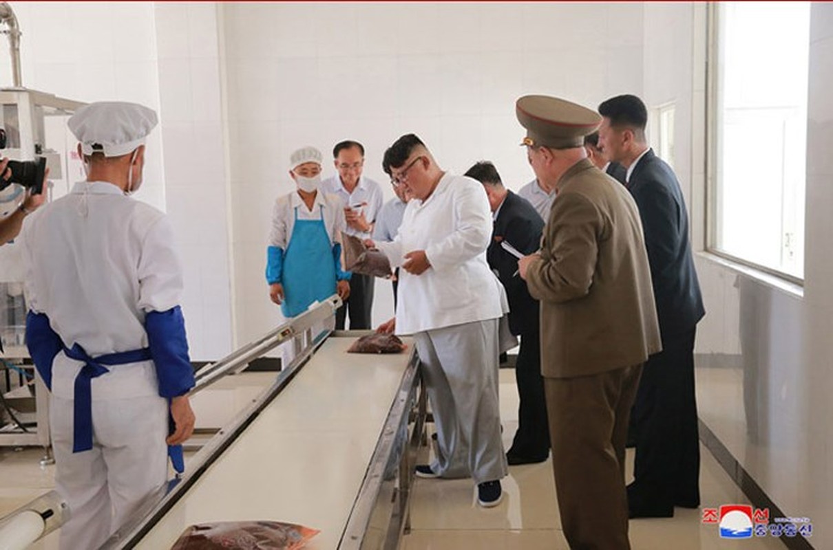 Hinh anh ong Kim Jong Un tuoi cuoi tham nha may quan doi-Hinh-7