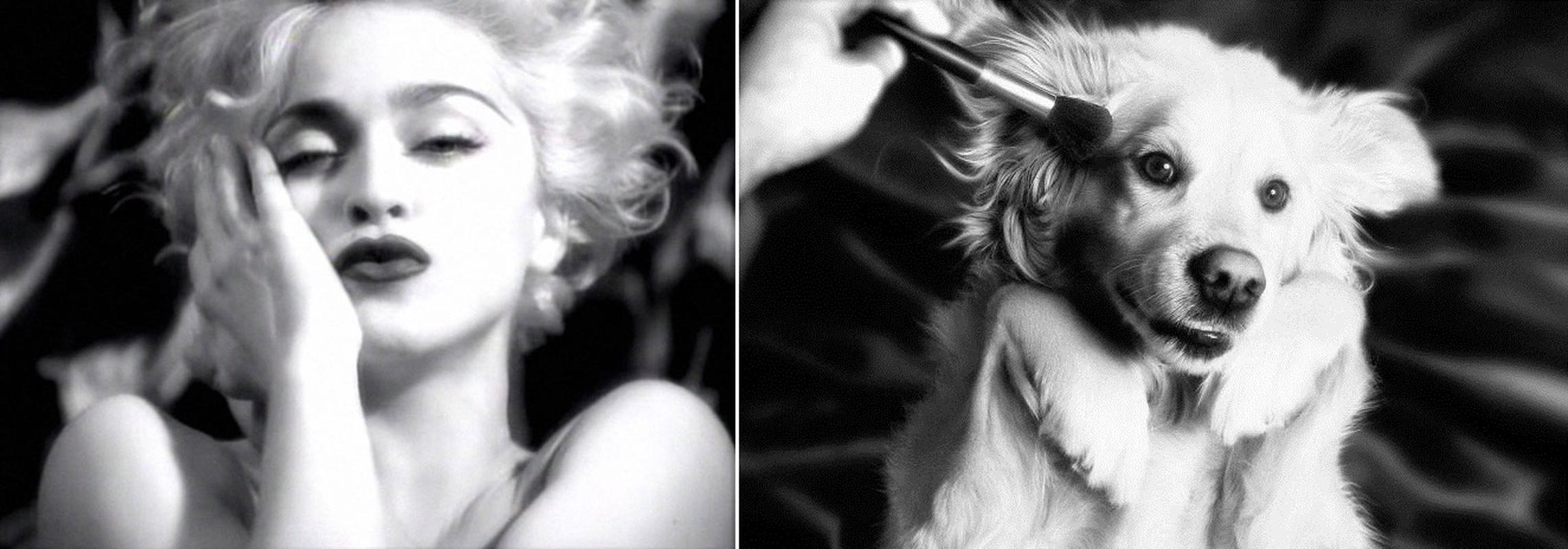 Cho hoa trang thanh nu hoang nhac Pop Madonna an tuong-Hinh-7