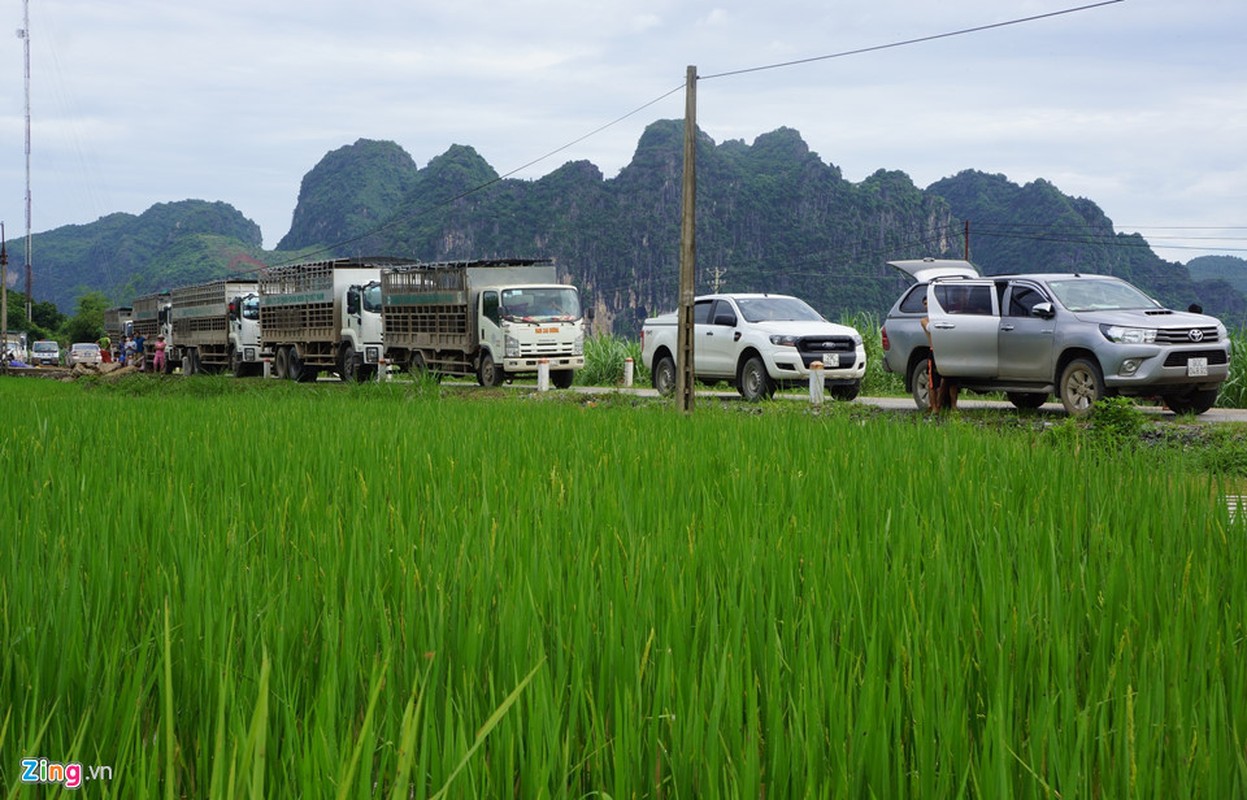 Hang tram nha ven song Ma bi nhan chim-Hinh-11