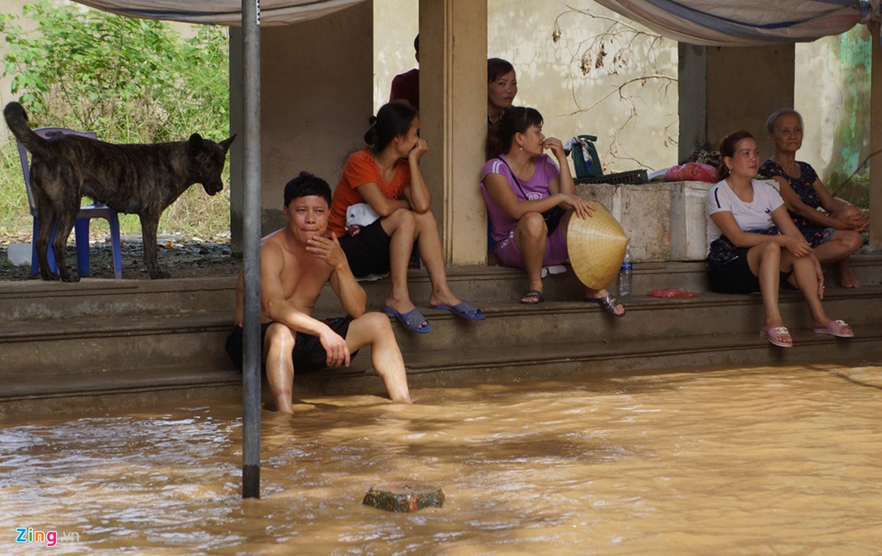 Hang tram nha ven song Ma bi nhan chim-Hinh-9