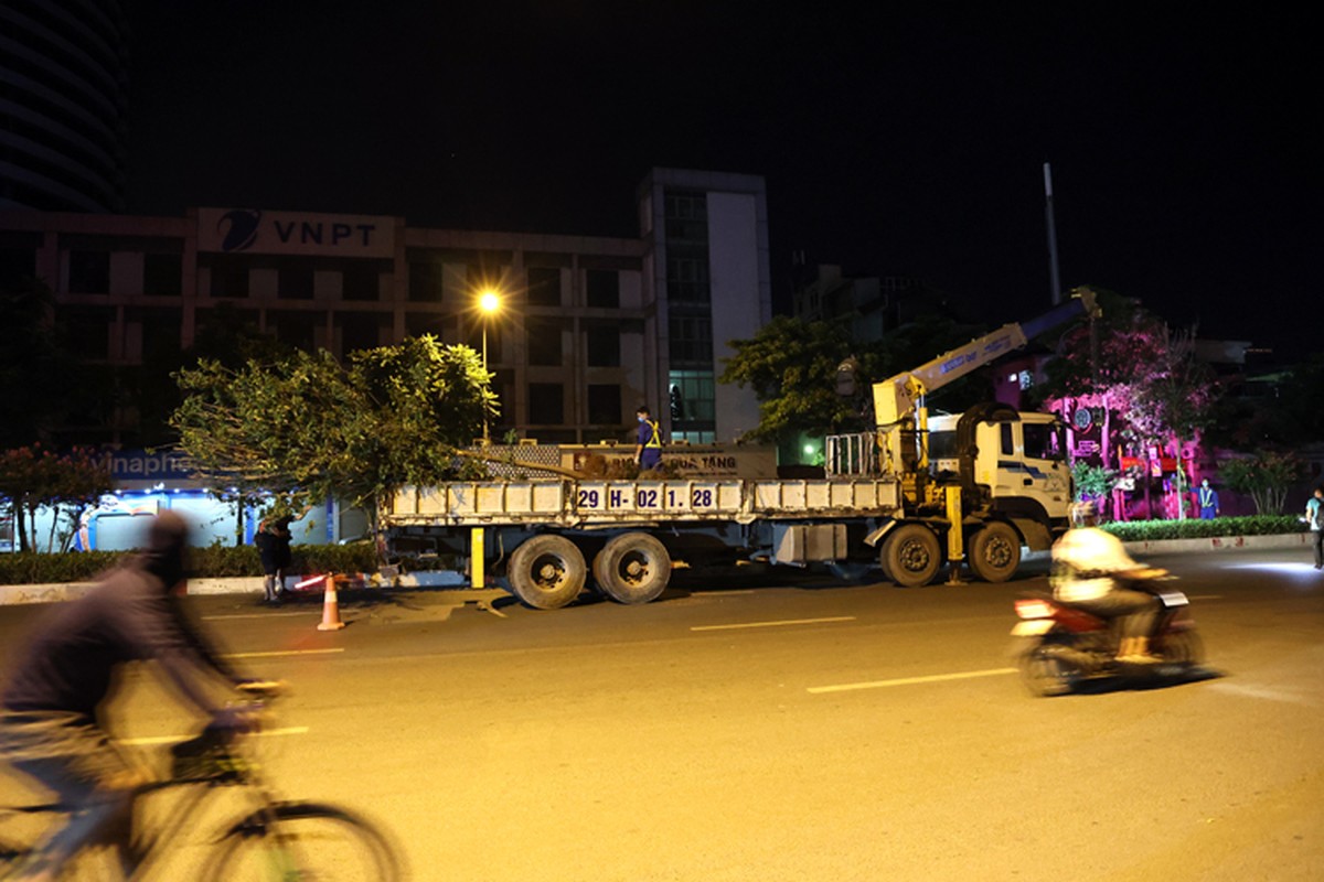 Ha Noi: Danh chuyen toan bo cay phong la do tren duong Nguyen Chi Thanh va Tran Duy Hung trong dem-Hinh-8