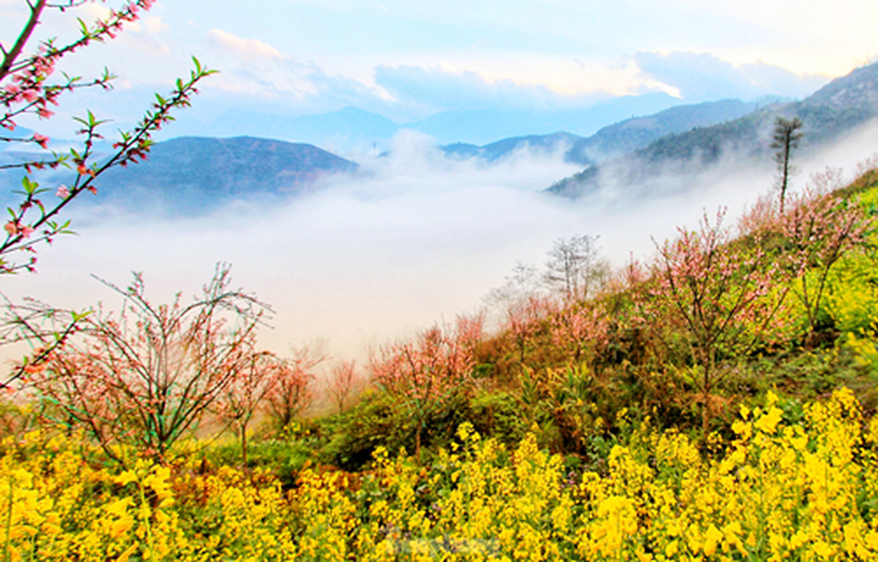 Duong len Lai Chau, hoa dao no tham. canh sac ngan nam co mot-Hinh-5