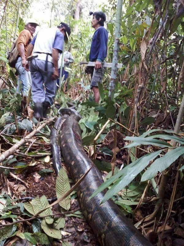 Di dao cho khoe nguoi, dung tim vi dung do “tran tinh” khong lo-Hinh-4