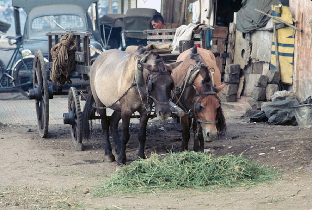 Sai Gon 1968 - 1969 qua loat anh mau cuc gia tri (1)-Hinh-6