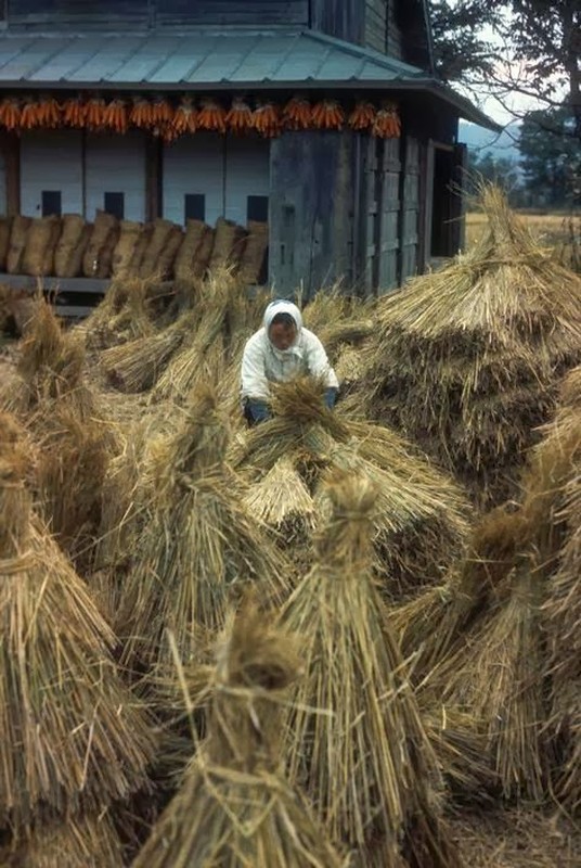 Nhat Ban dep nao long trong loat anh chup nam 1961-Hinh-6