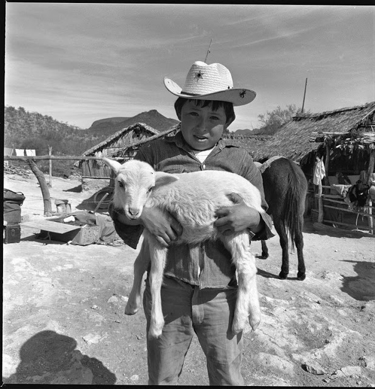 Goc anh gian di, binh yen o Mexico nhung nam 1960-Hinh-7