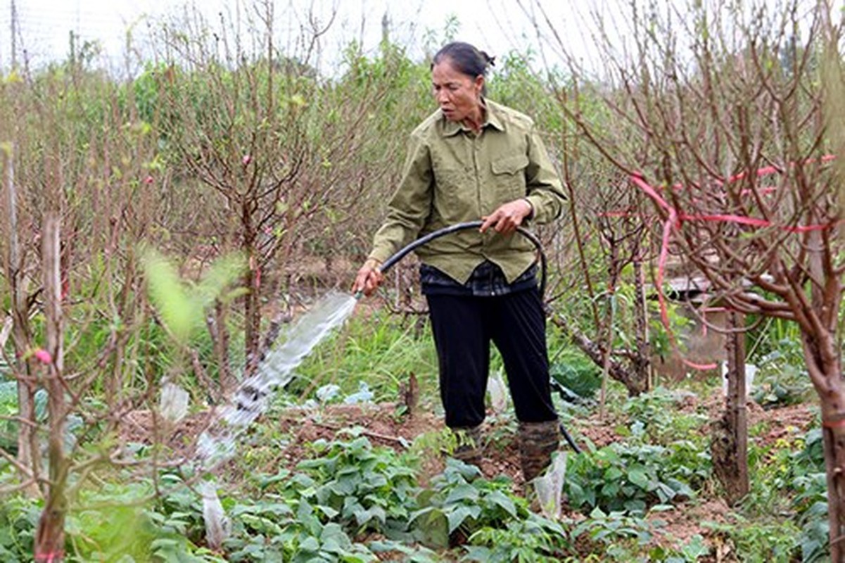 Thoi tiet that thuong khien dan trong dao, quat the tham-Hinh-7