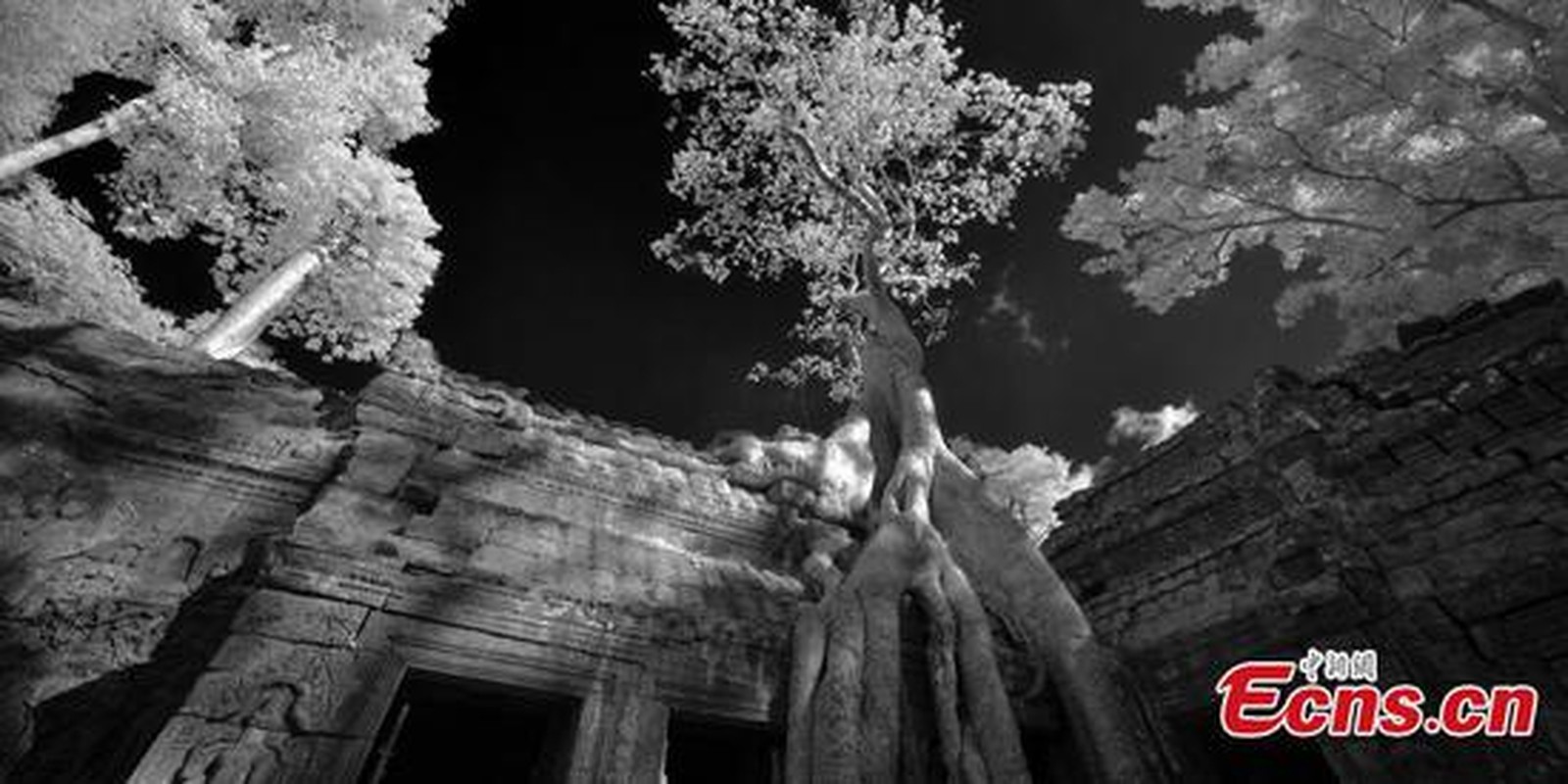 Ngat ngay ve dep cua nhung ngoi den o Angkor-Hinh-10