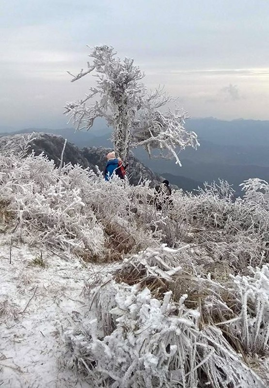 Can canh dinh Phia Oac, Cao Bang chim trong bang tuyet-Hinh-4