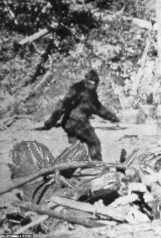 Bang chung giat minh ve su ton tai cua quai vat Bigfoot-Hinh-3