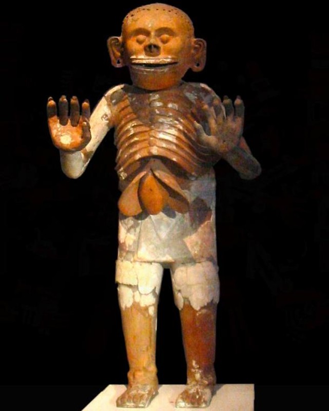 Giai bi mat ngan nam trong vung dat linh hon cua nguoi Aztec-Hinh-3