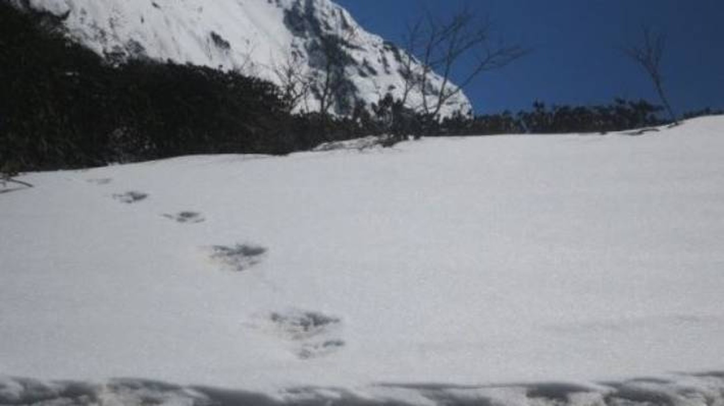 Giat minh bang chung kho cai dau vet nguoi Tuyet tren dinh Himalaya-Hinh-4