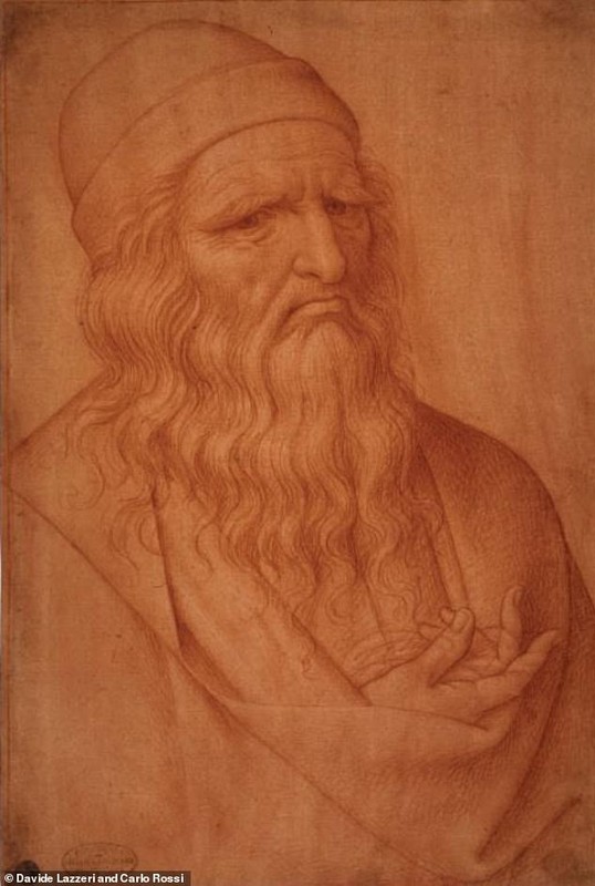 Tiet lo cuc soc benh tat cua danh hoa Leonardo da Vinci-Hinh-4