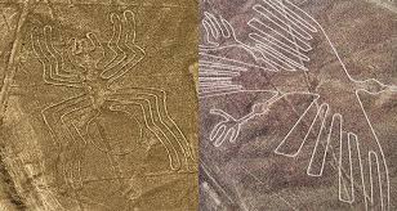 Cuc sot: Duong ke Nazca cuoi cung da duoc giai ma?-Hinh-6