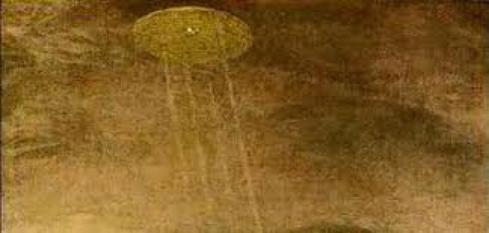 Giat minh dau vet UFO bat ngo xuat hien trong tranh ve xua-Hinh-10